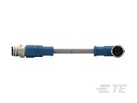 T4162124004-005