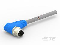 T4161220008-004