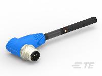 T4161210008-005