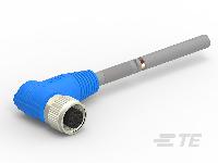 T4161420008-003