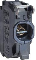 ZBVB14
