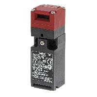 D4NS-1CF