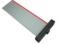 FFSD-10-S-02.00-01-N