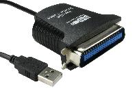 229-9956