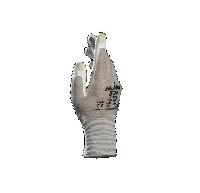 524030