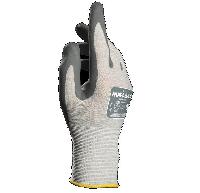 544020
