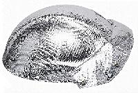 PR01446SC
