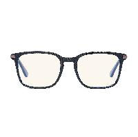 PRBCHIC108