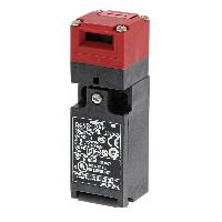 D4NS-1FF