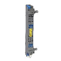 405023