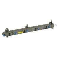 405025