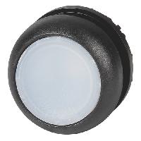 216945 M22S-DRL-W