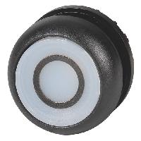 216962 M22S-DRL-W-X0