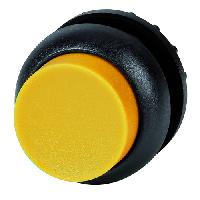 216972 M22S-DLH-Y
