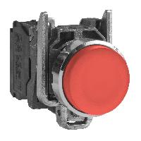 XB4BL41