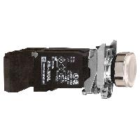 XB4BW3135