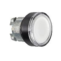 ZB4BW3137