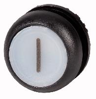 216943 M22S-DL-W-X1