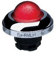 EX-RMLHRT