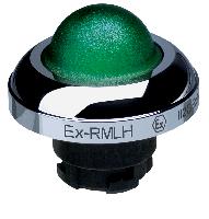 EX-RMLHGN