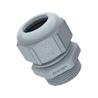 53017230