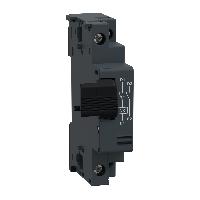 GVAX385