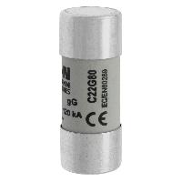 C22G80