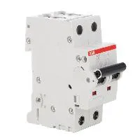 2CDS272001R0204  S202M-C20