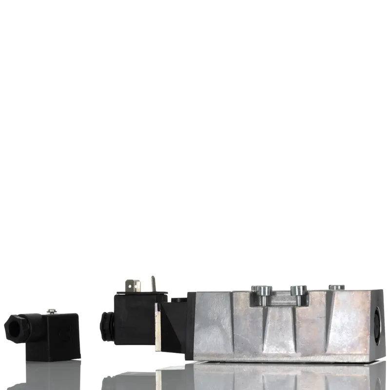 SXE9574-A81-00/110VAC