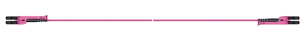 PCRS_LCMX_LCMX_O421T_01.0_LL