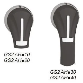 GS2AH110