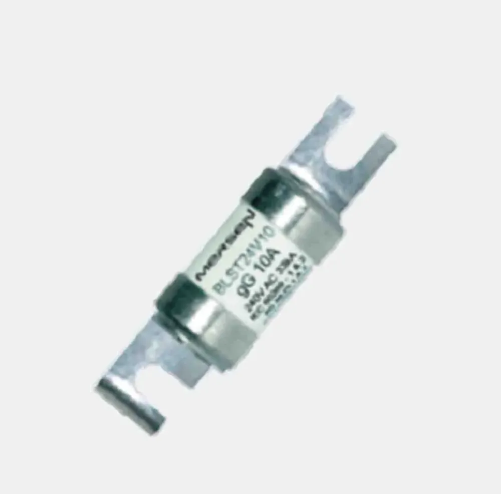 F1065687 / BLST24V06