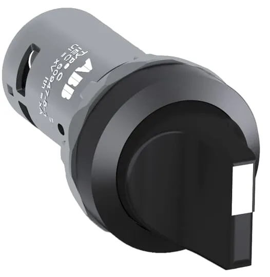 1SFA619201R1046 C2SS2-10B-01